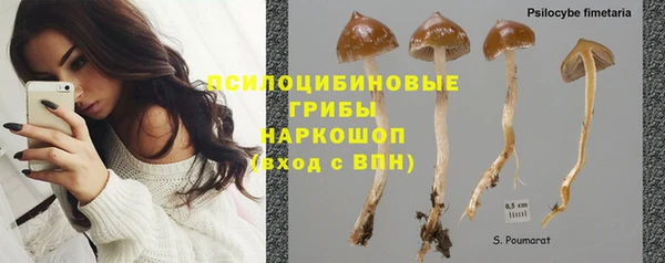 дмт Коряжма