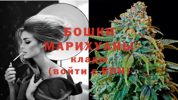 дживик Костерёво