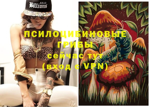 дживик Костерёво