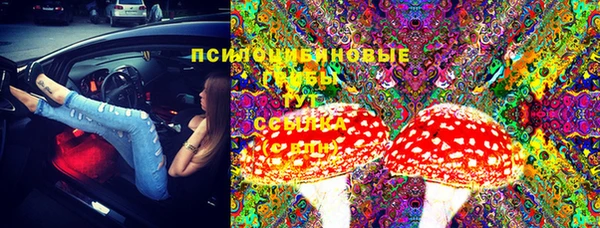 дмт Коряжма