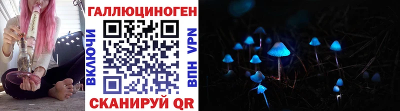 Псилоцибиновые грибы мицелий  купить   Темников 